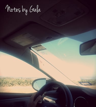 Conduciendo por California