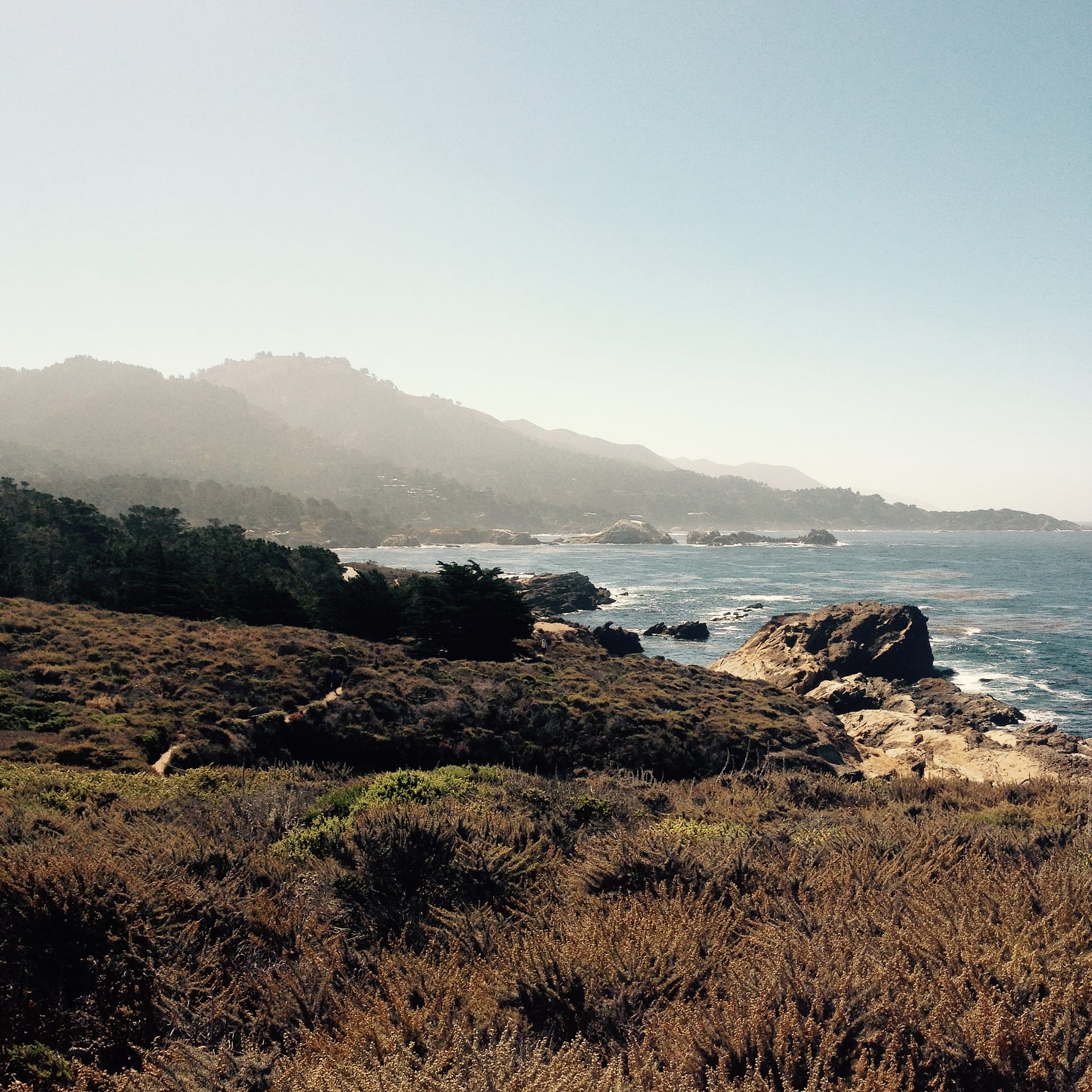 se permiten perros en point lobos